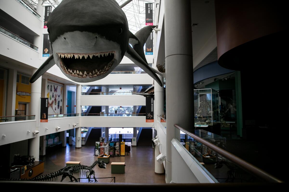 The San Diego Natural History Museum sits empty on Friday due to the COVID-19 pandemic.