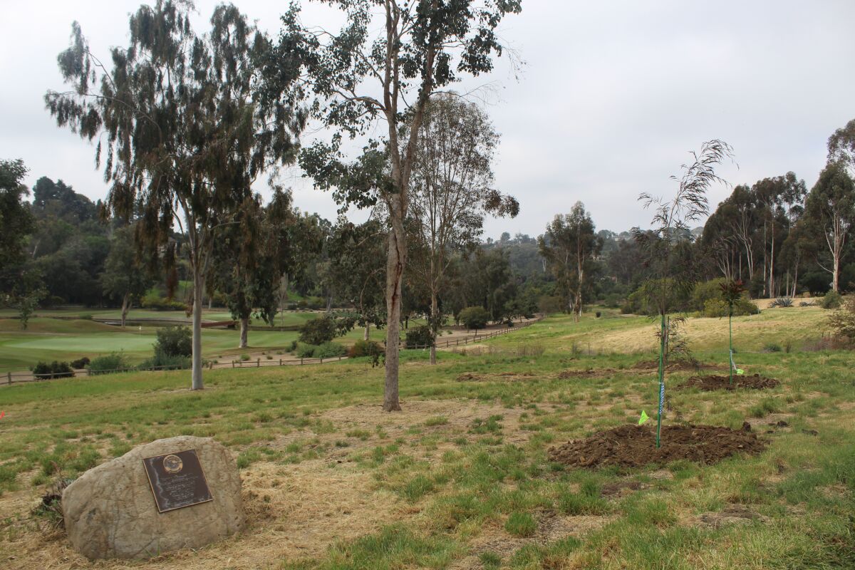 New trees planted at the Rancho Santa Fe Association's arboretum.
