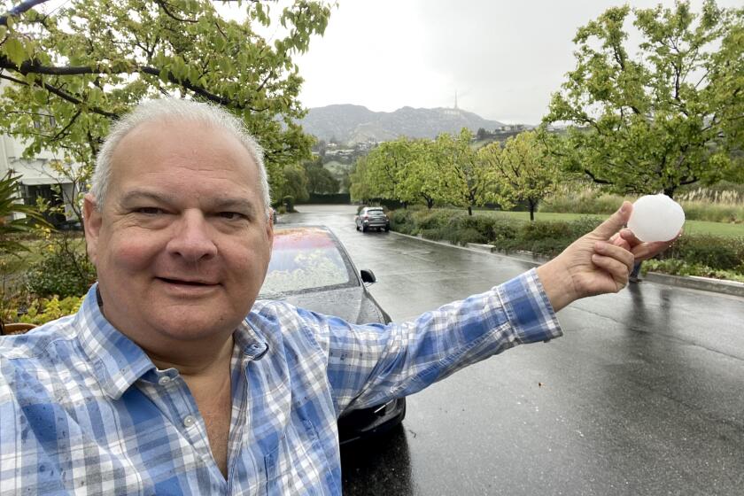 Jeff Zarrinnam takes a selfie holding a snowball with the Hollywood sign in the background