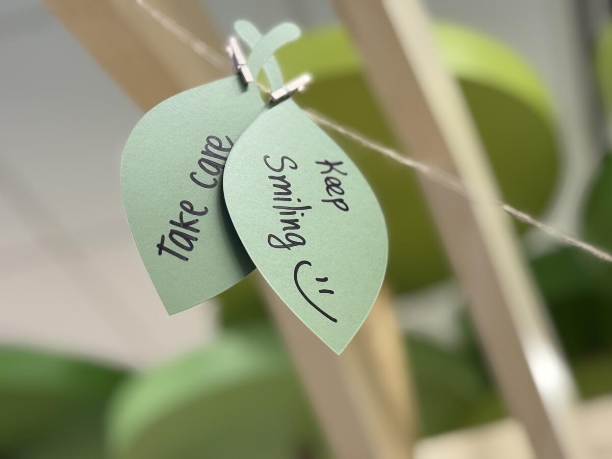 For those uncomfortable with photos, "brain tattoos" can also be written as a note and placed on a stand near the exhibit.