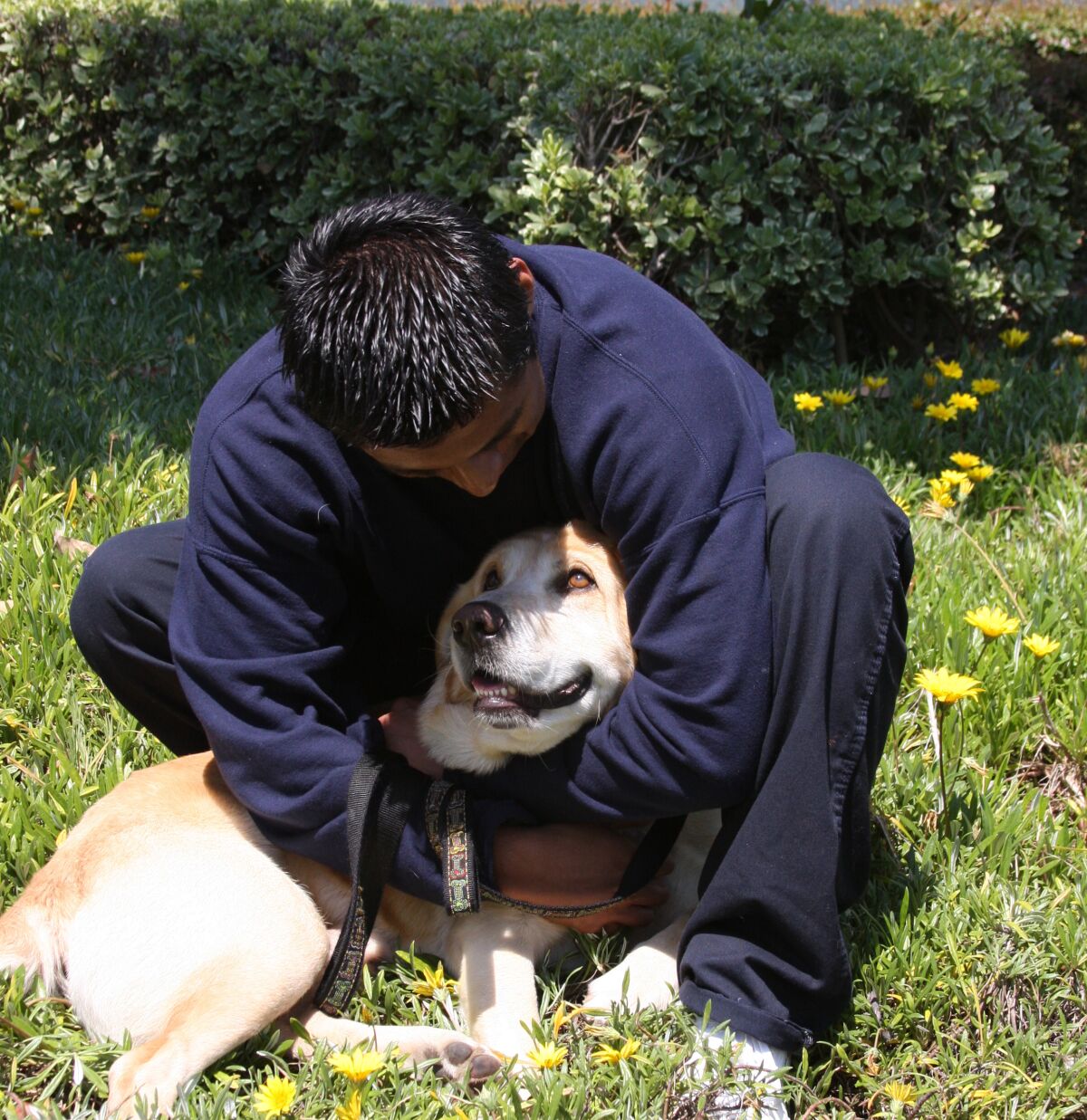 Former Cell Dogs graduate Jackson socializes with his juvenile hall inmate trainer in 2013.