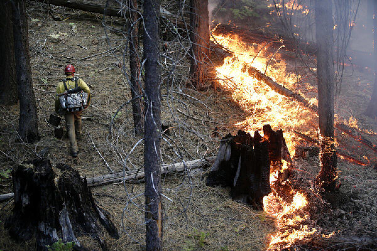 Firefighter Russell Mitchell, left, monitors a back burn during the Rim Fire near Yosemite National Park.