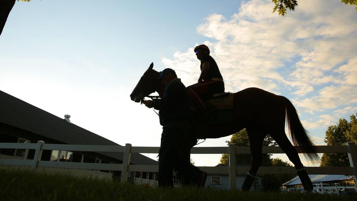 California Chrome, with exercise rider William Delgado, goes out for an exercise session at Belmont Park on Friday.