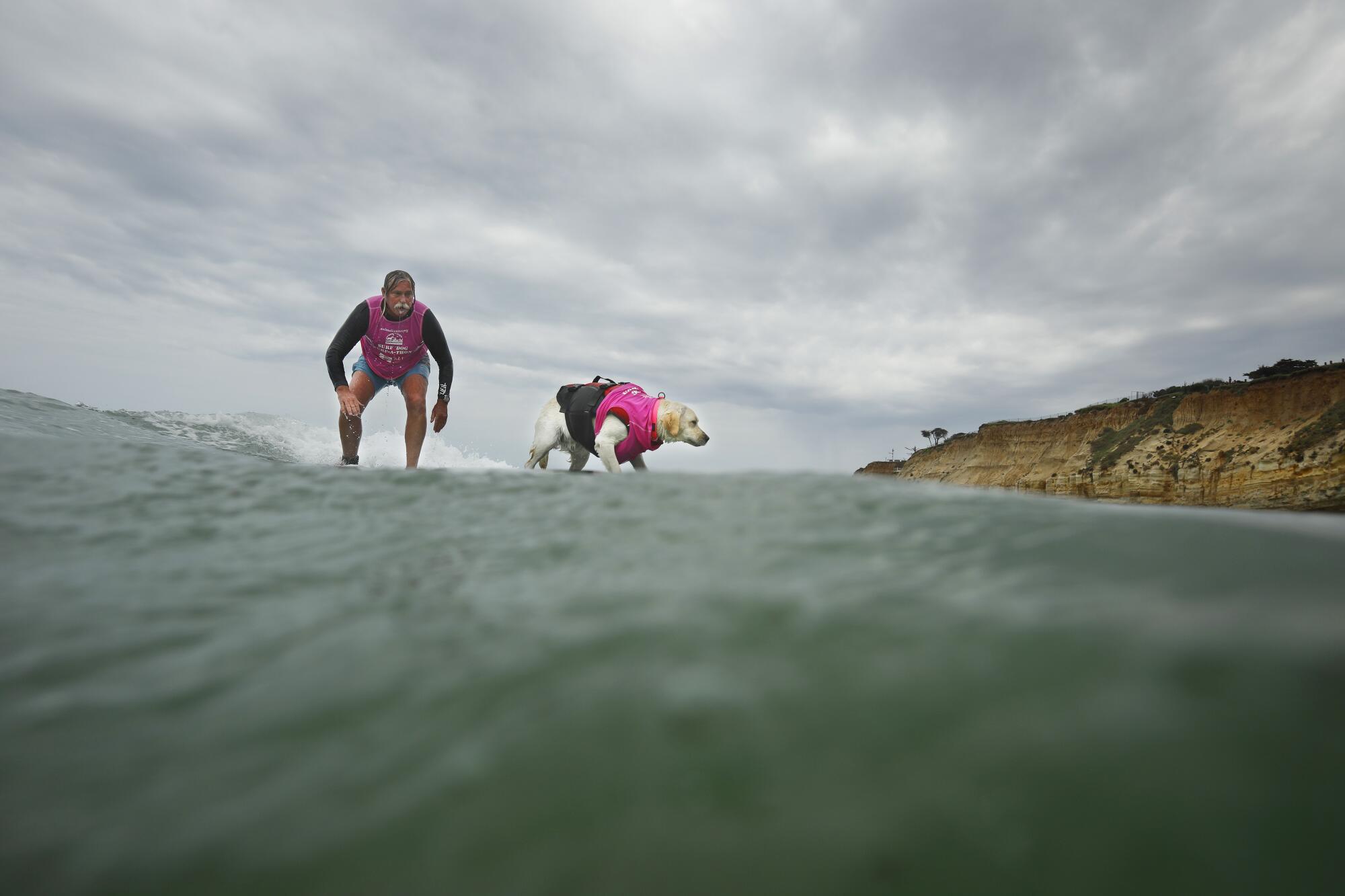 Steve Drottar and his labrador retriever Rippin' Rosie surf in the in the 18th annual Surf Dog S