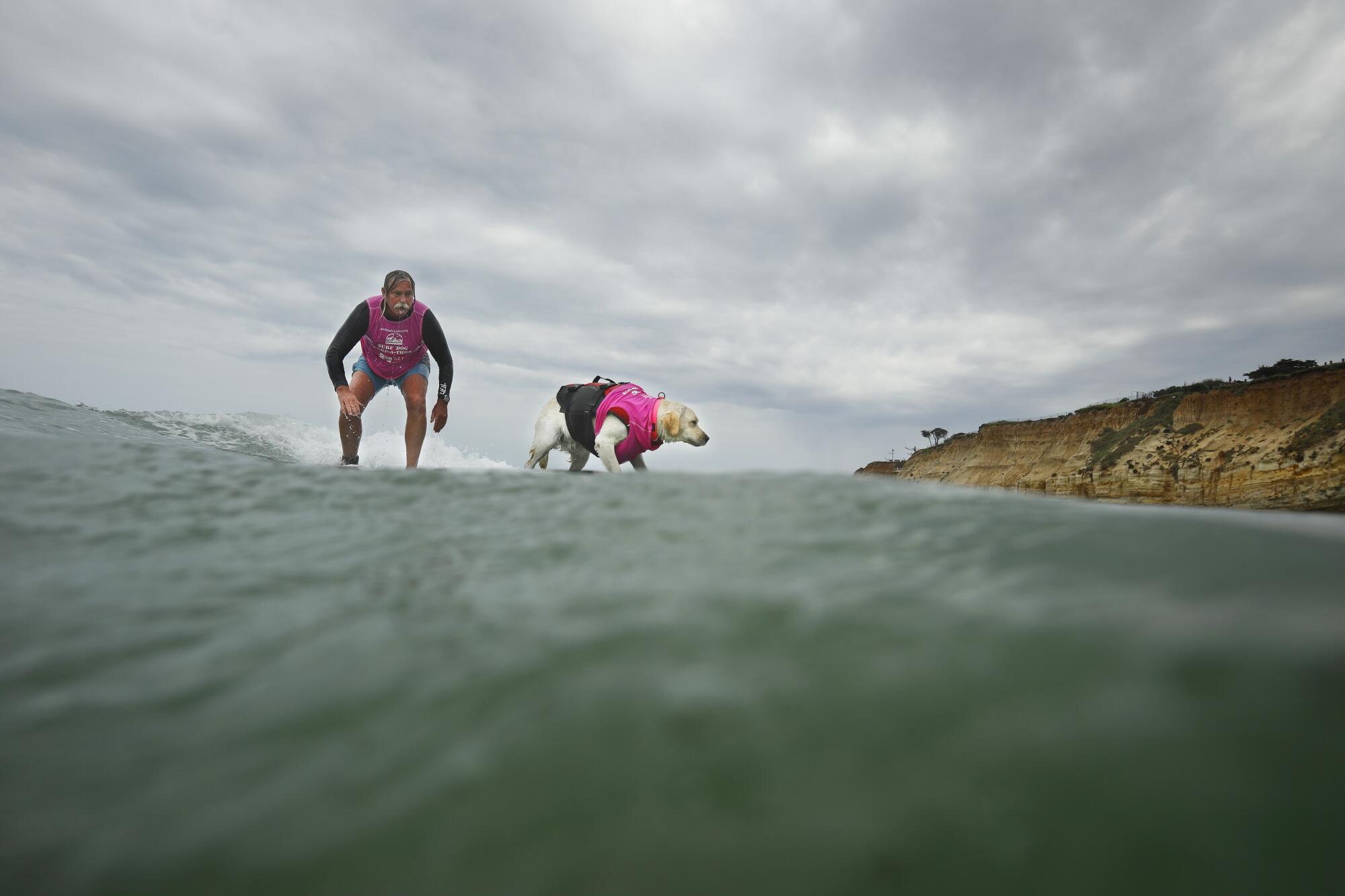 Steve Drottar and his labrador retriever Rippin' Rosie surf in the in the 18th annual Surf Dog S