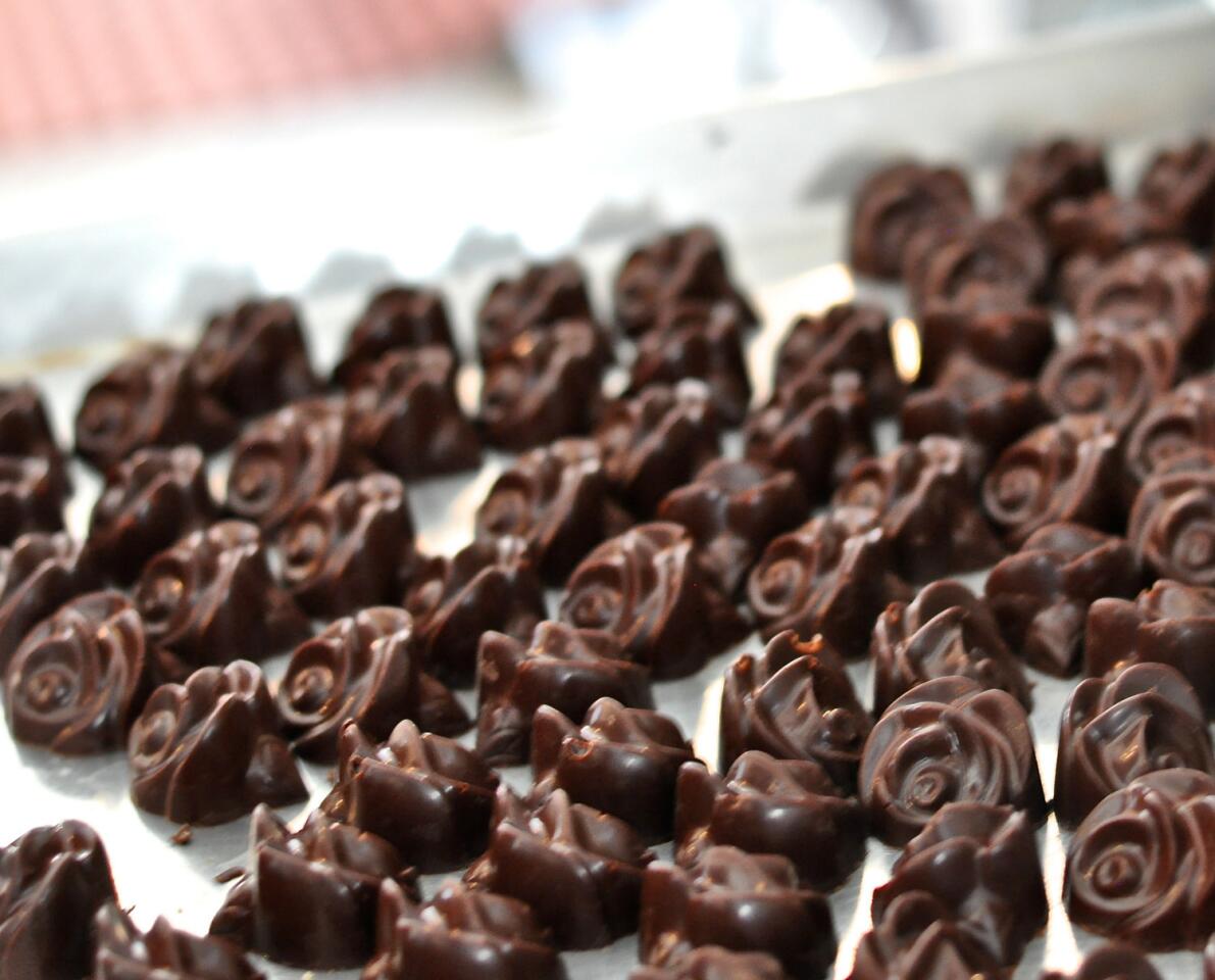 Chocolate roses