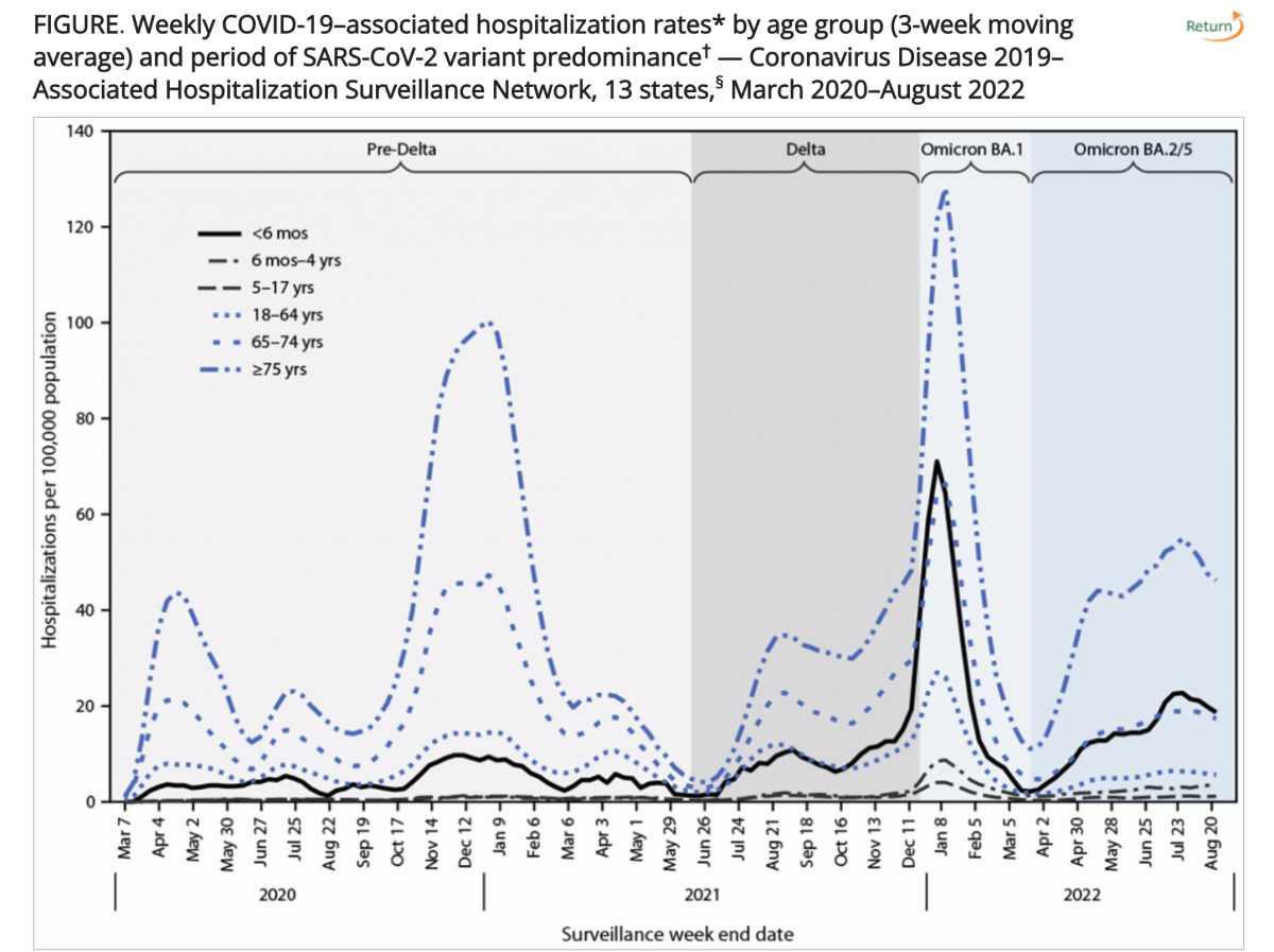 Hospitalisation Rates Pregnancy Babies' COVID hospitalizations as high as seniors' amid Omicron - Los ...
