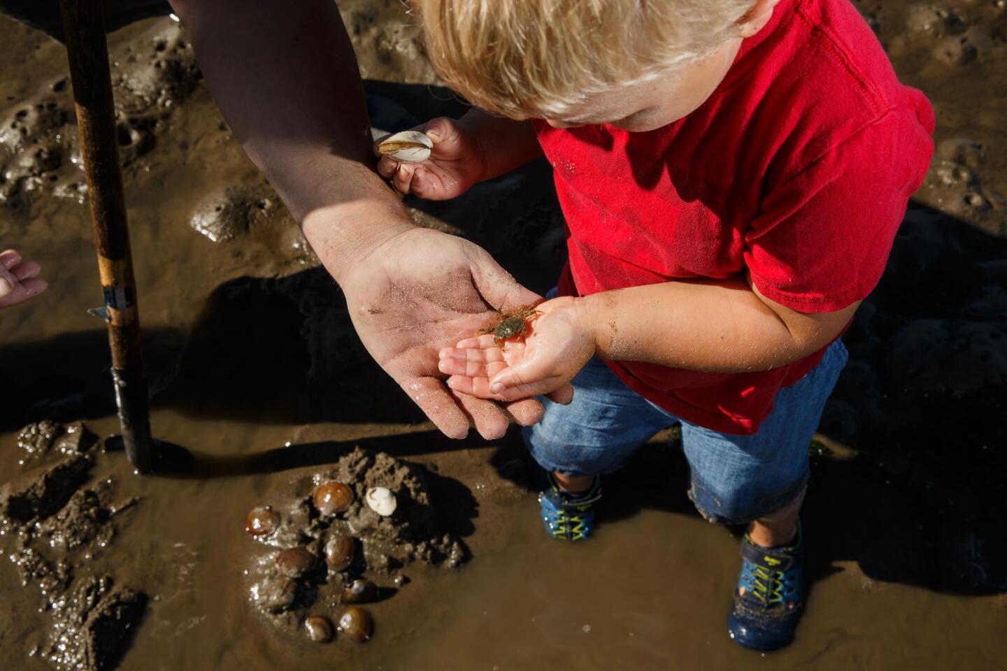 Clamming and crabbing in Oregon