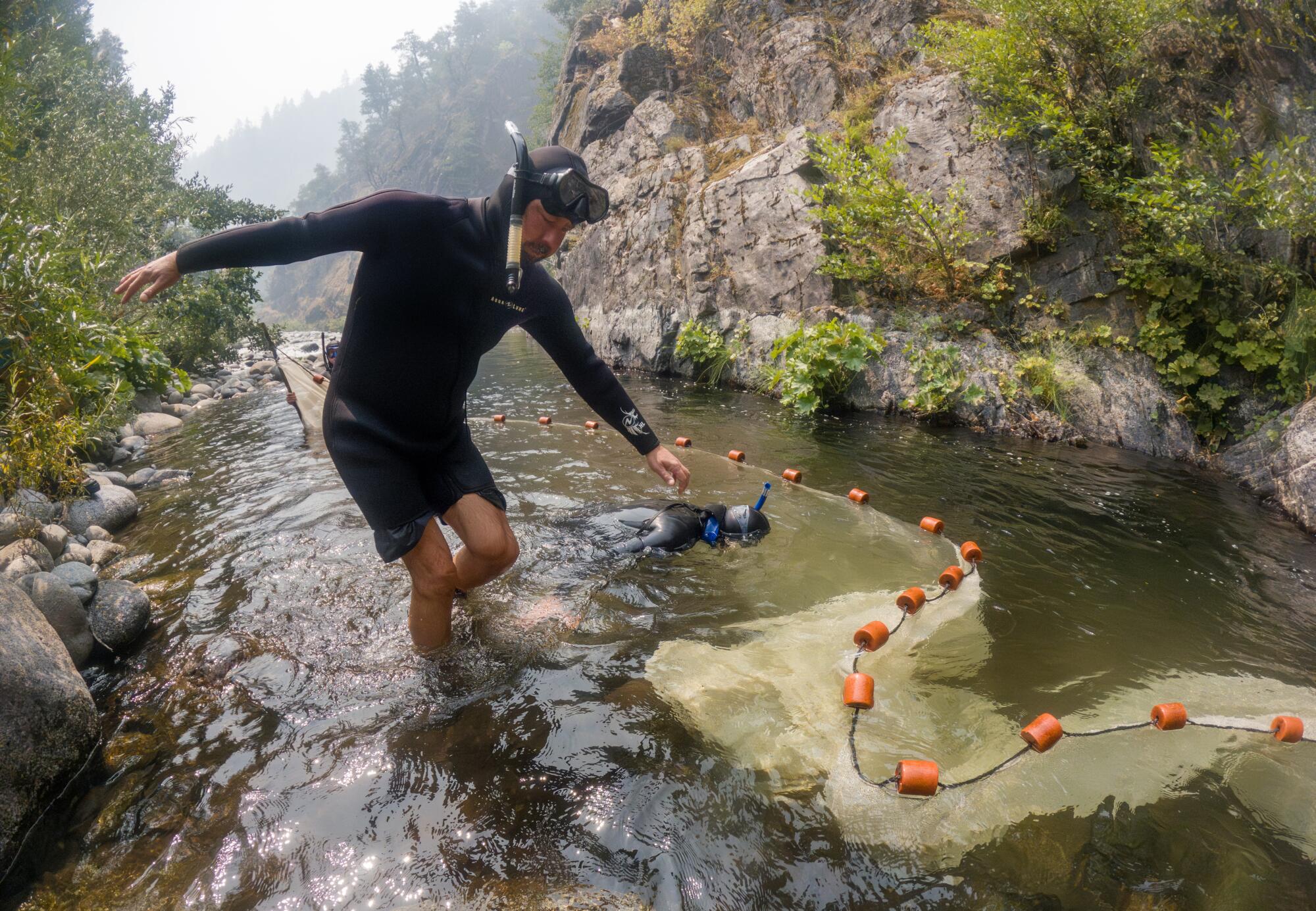 Members of a Karuk Tribe fisheries team conduct a survey of juvenile salmon in Wooley Creek.