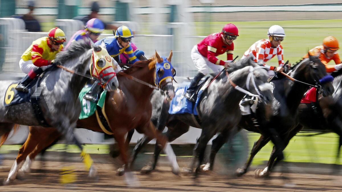 LOS ALAMITOS, CALIF. - JUNE 29, 2019. Horses and jockeys charge out of the starting gate during the sixth race at the Los Alamitos Race Course on Saturday, June 29, 2019. The thoroughbred racing scene has moved from Santa Anita, where 30 horses died during the winter-spring meet, to Los Alamitos, where the season runs through September. (Luis Sinco/Los Angeles Times)