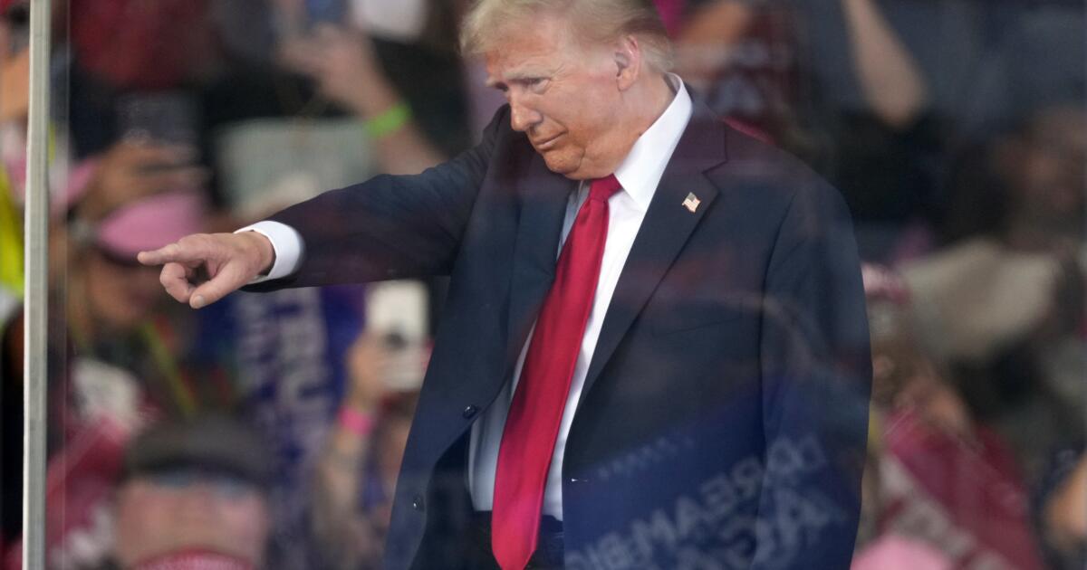 Trump and Harris make their final pitch to voters in last weekend before election day Trump and Harris make their final pitch to voters in last weekend before election day