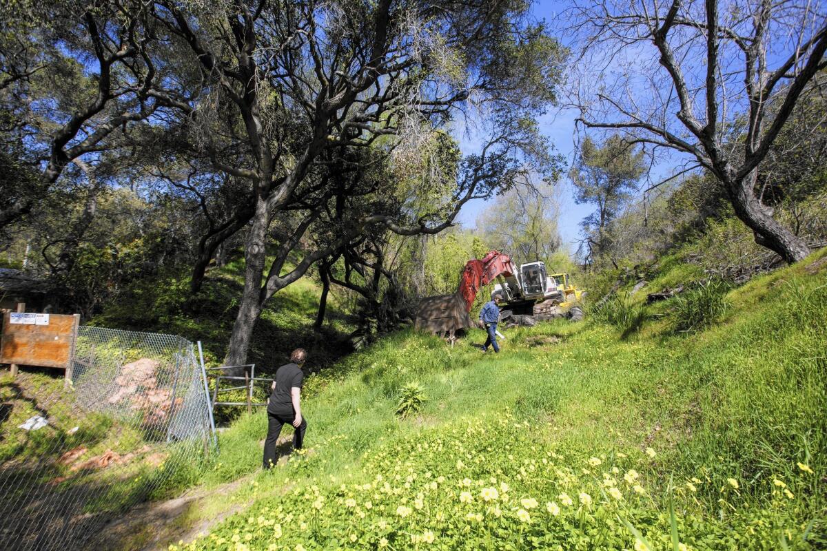 Sam Shakib walks on his property in Brentwood's Sullivan Canyon. Shakib and his business partner are in hot water for cutting down three trees they were supposed to preserve as part of developing two mansions on the 12-acre site.