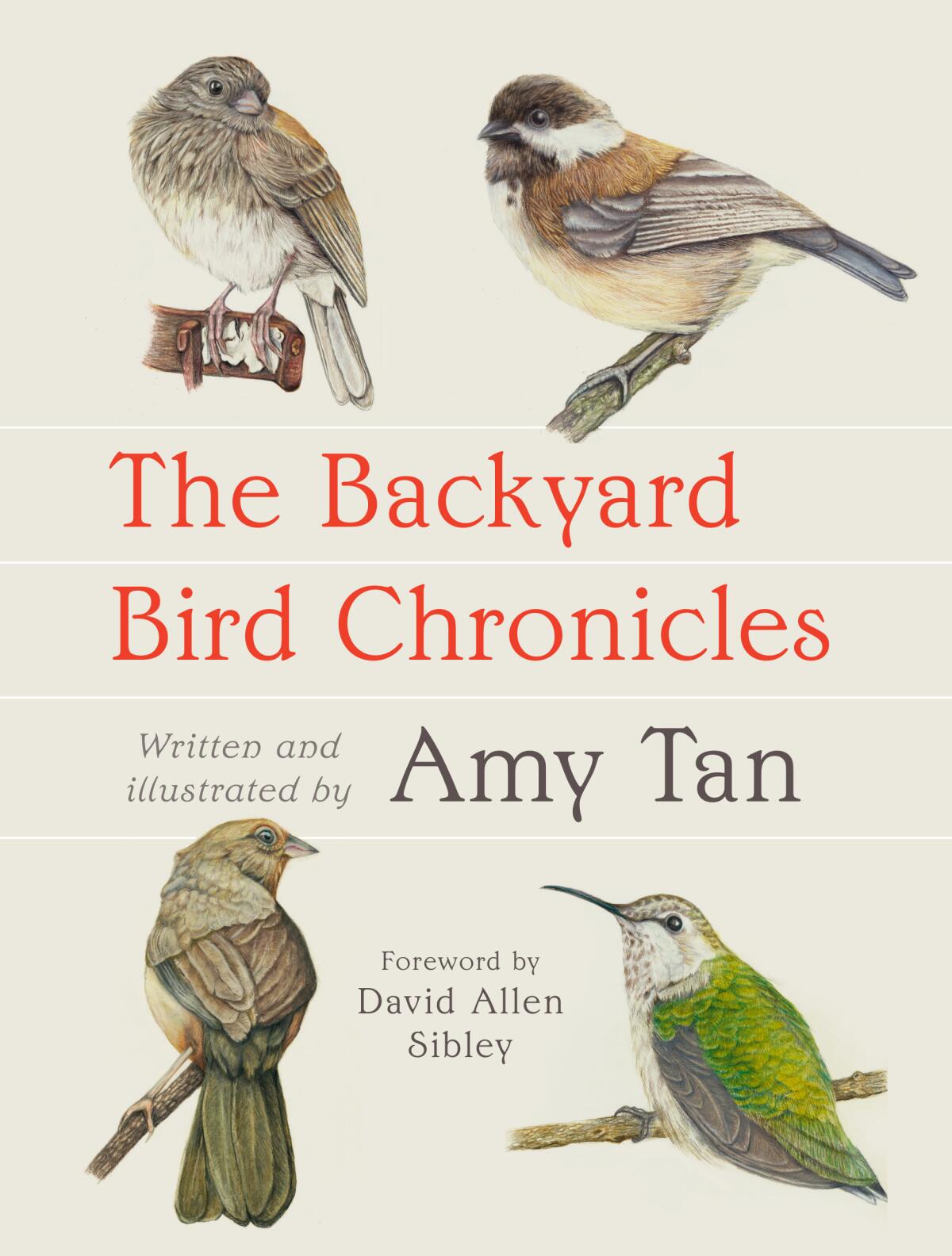 Book jacket for Amy Tan's "The Backyard Book Chronicles."