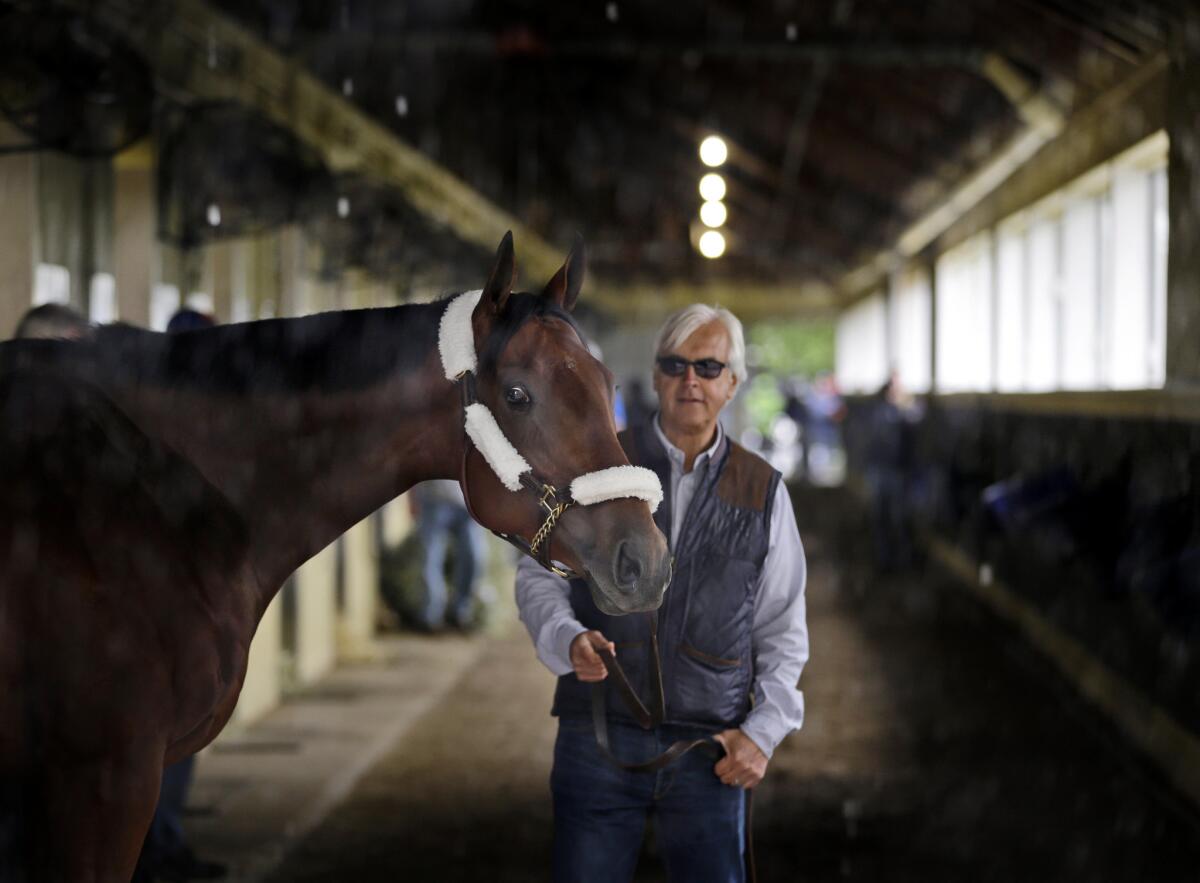 Trainer Bob Baffert leads Kentucky Derby and Preakness Stakes winner American Pharoah around the barn on June 2 after arriving at Belmont Park in Elmont, N.Y.