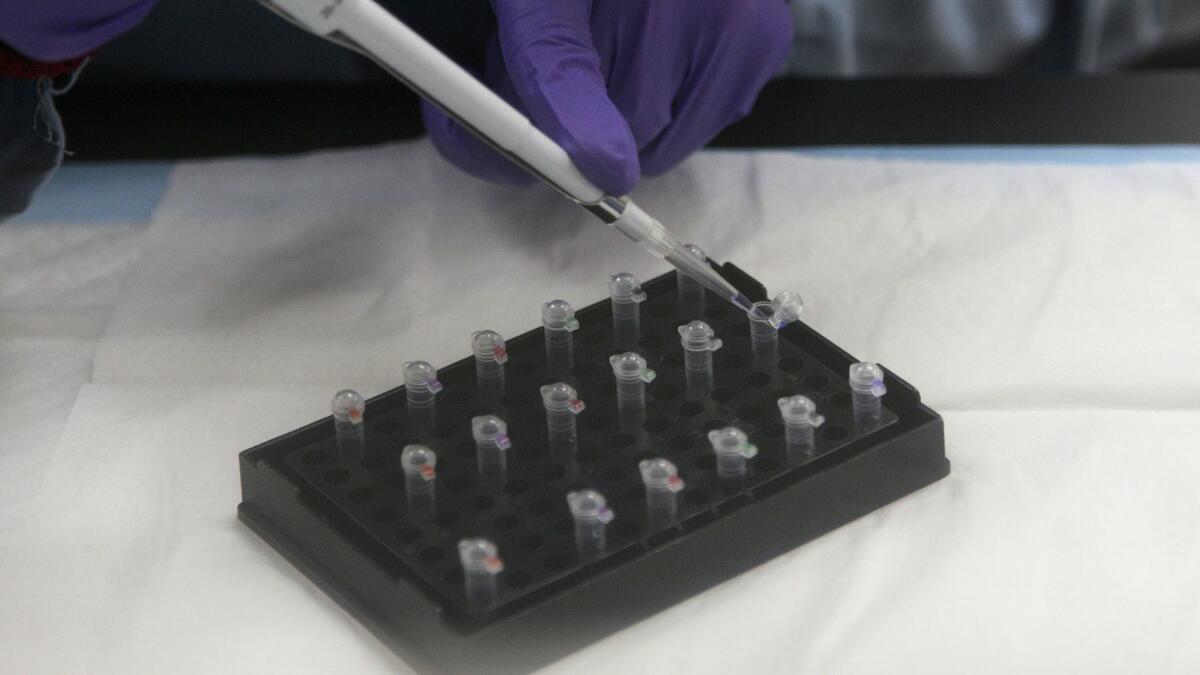 A criminalist works on mitochondrial DNA testing at the State of California Department of Justice Jan Bashinski DNA Laboratory in Richmond, Calif on Feb. 17, 2012.