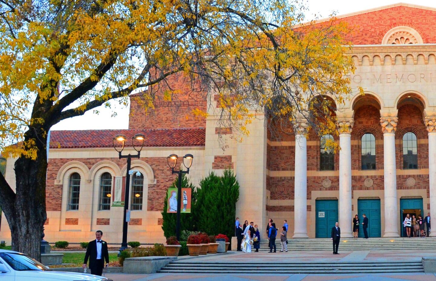 One of Sacramento's many grand shade trees stands before the Sacramento Memorial Auditorium on J Street.