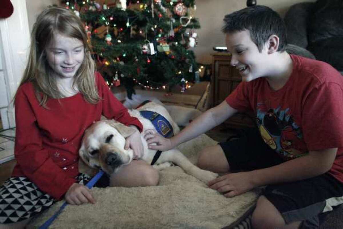 Hannah Chulack, 10, left, and her brother Luke, 12, play with their companion dog, Wednesday at their Burbank home. The two children, who both have mitochondrial disorders, received a companion dog 18 months ago through Canine Companions for Independence. The children have also been fundraising for the organization.