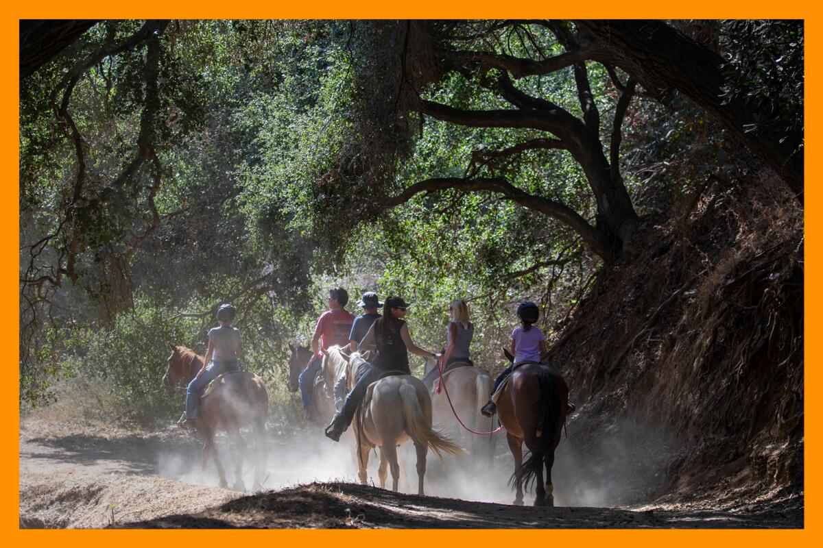 A group of people on horseback on a dusty trail in a park setting