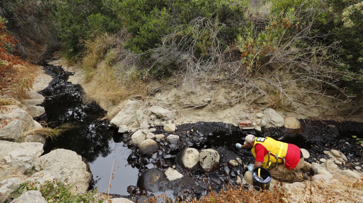 Sean Anderson, a professor at Cal State Channel Islands, collects samples to test for toxicity from a creek in Prince Barranca after an oil spill in Ventura County.