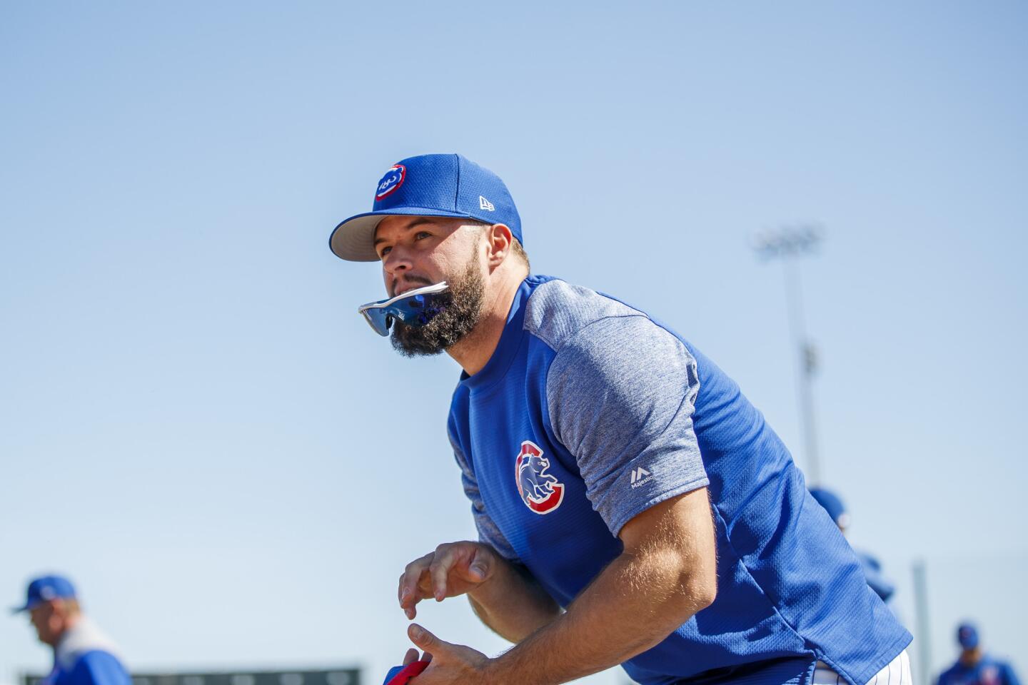 Cubs spring training