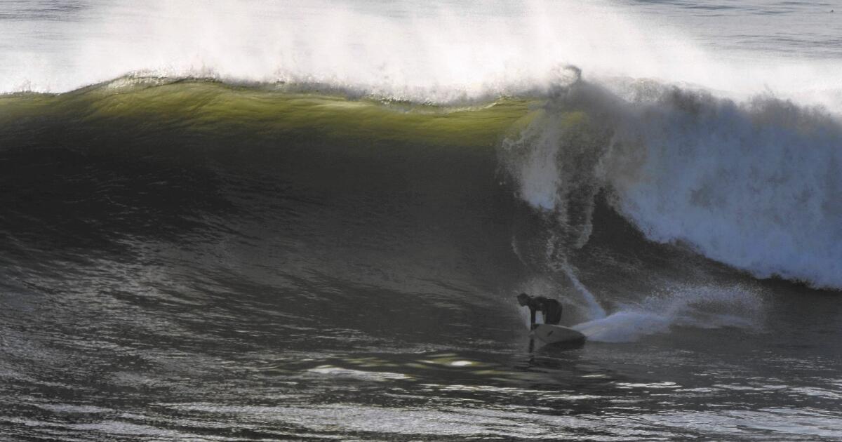 Gang mentality' of middle-age surfers keeps outsiders off Palos Verdes  Estates waves - Los Angeles Times