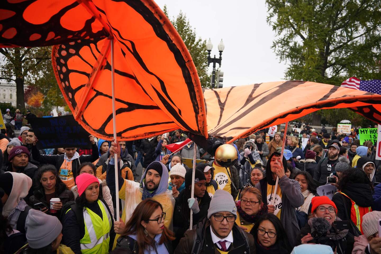 Immigration rights activists rally in front of the U.S. Supreme Court