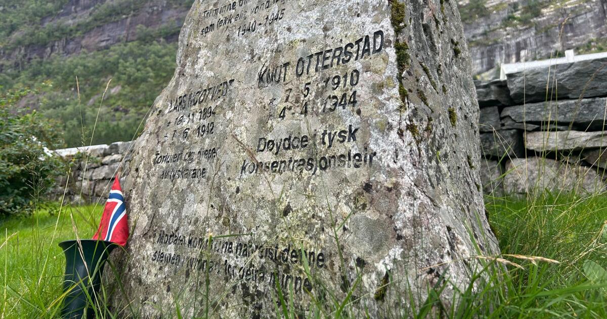 Faşizmin yenilmesi için sıradan insanların ayağa kalkıp 'hayır' demesi gerekiyor