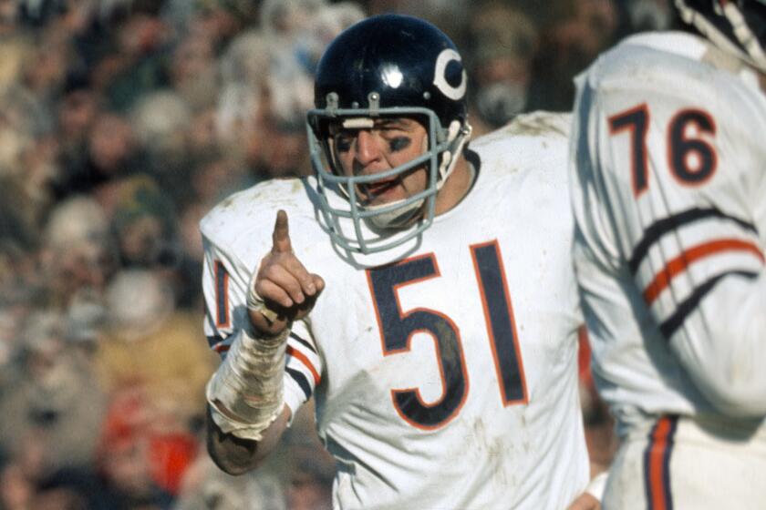 GREEN BAY, WI - NOVEMBER 4: Dick Butkus #51 of the Chicago Bears in action against the Green Bay.