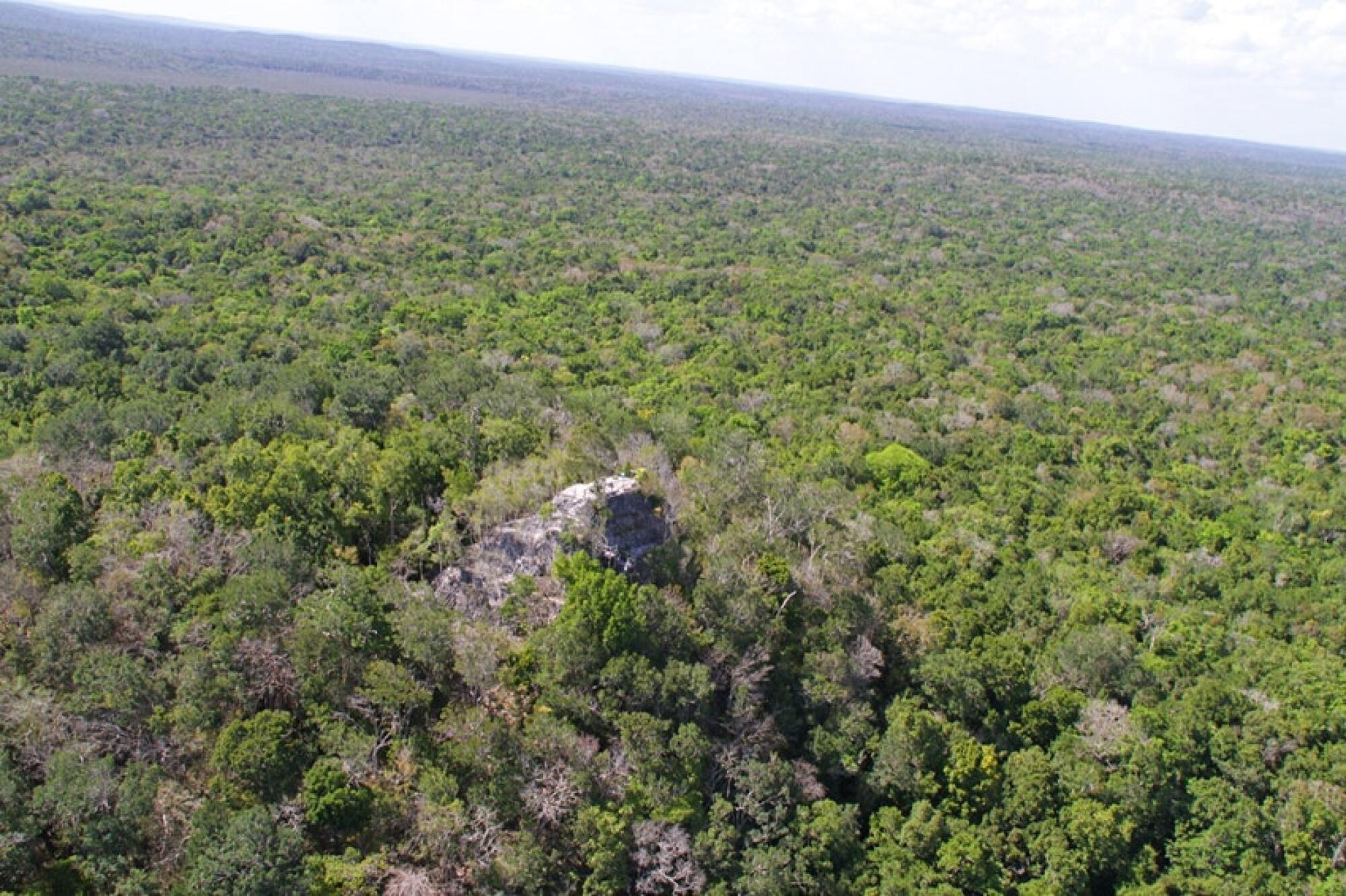 Vast green rainforest with a bit of a structure poking up through it