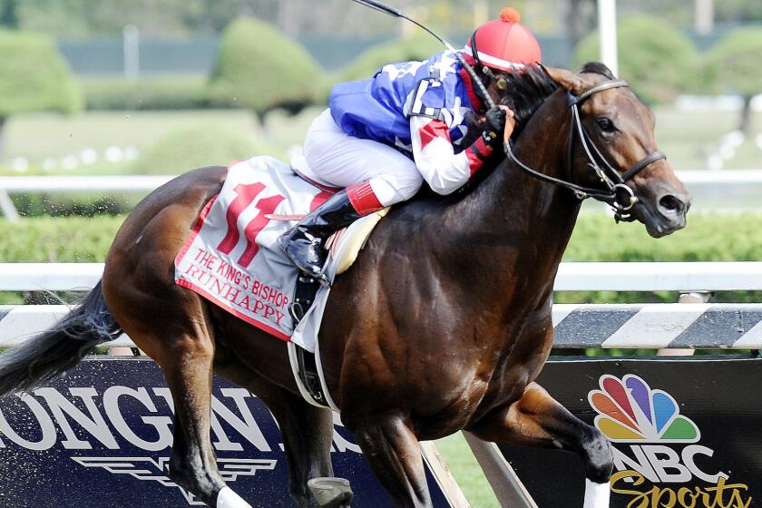 Jockey Edgar Prado guides Runhappy to victory in The Kings Bishop Stakes on Aug. 29, 2015, at Saratoga Race Course.