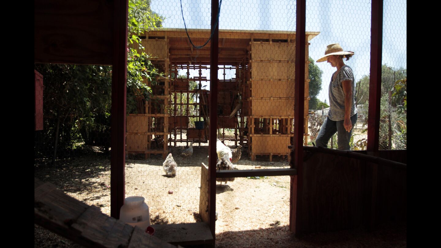 Shade is critical, and the new pavilions provide shelter for the girls as they move from the riding rink to gardening and cooking.
