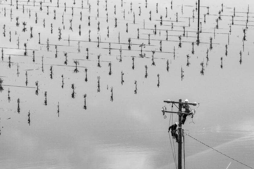 Corcoran, CA, Monday, June 5, 2023 - PG&E crews work on a power line at a flooded pistachio orchard partly owned by Markham Hanna. The field was flooded after a makeshift levee built during the1983 flood, broke nearly a mile away. (Robert Gauthier/Los Angeles Times)