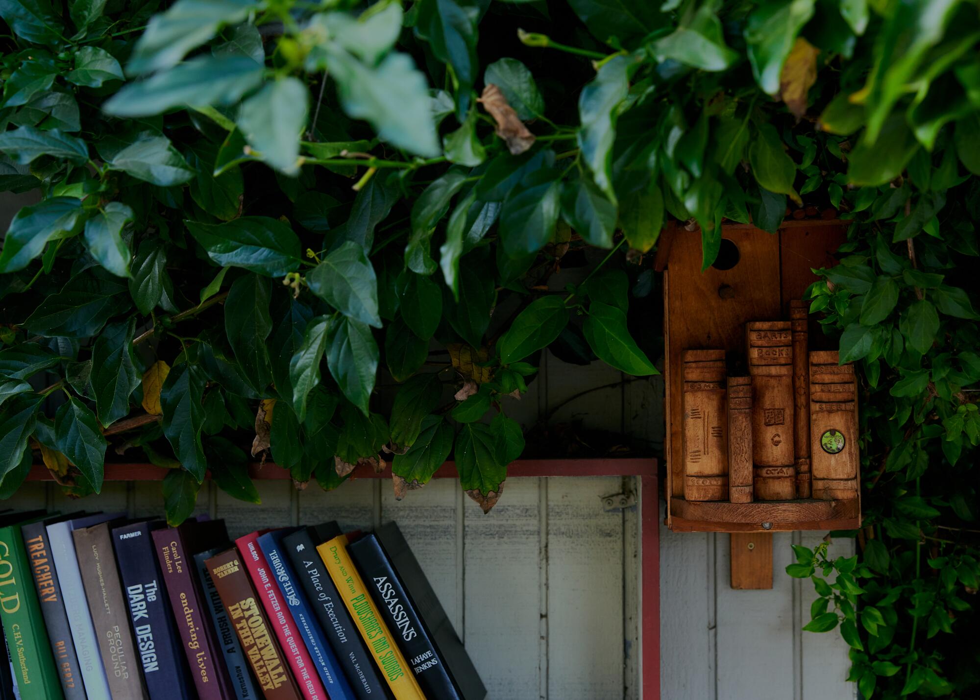 A wood nesting box shaped like books hangs beside bookshelves, with greenery spilling over.