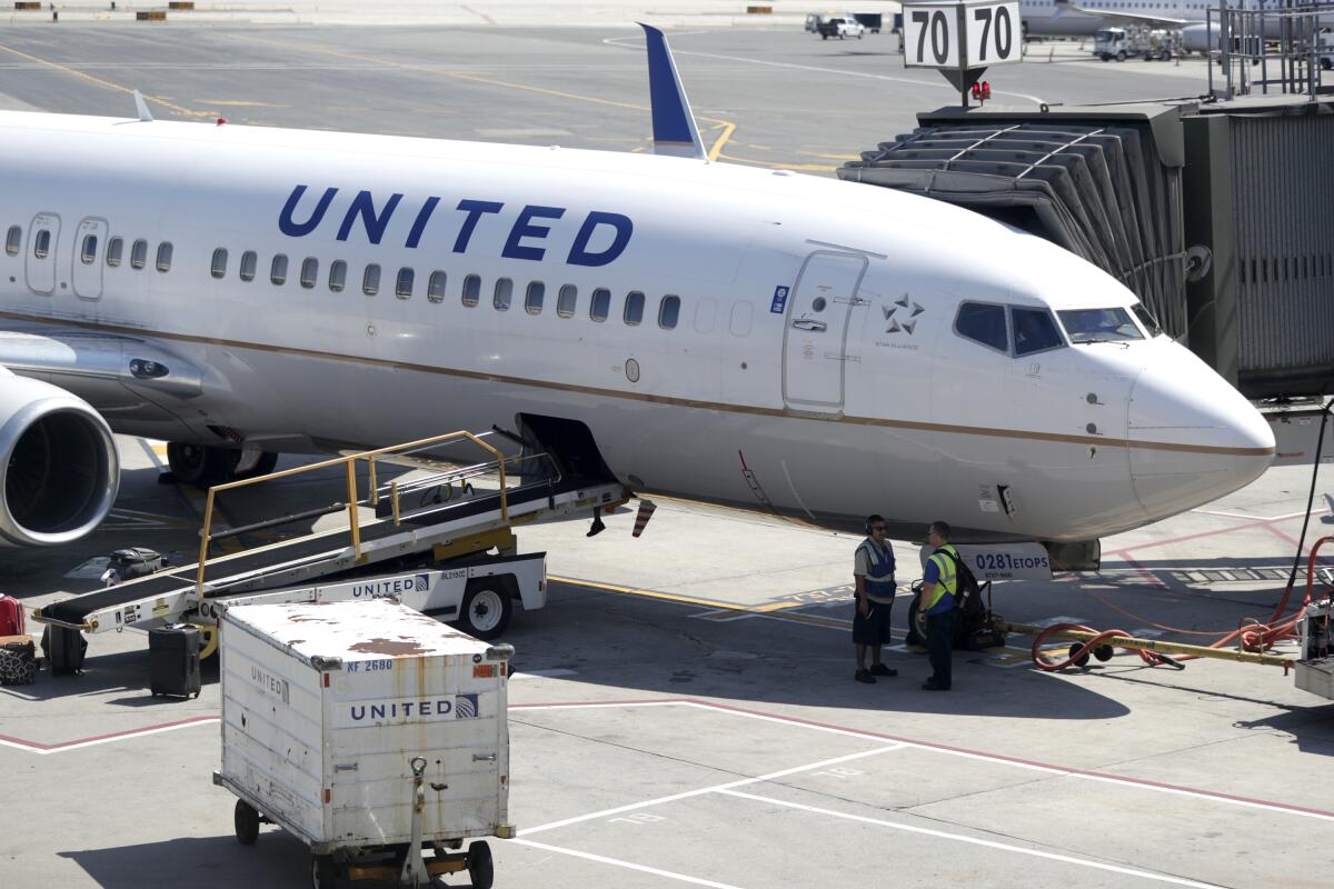 A United Airlines commercial jet sits at a gate at an airport terminal.