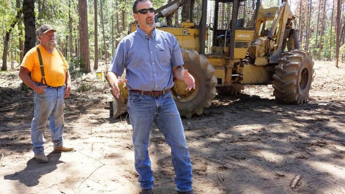 Assemblyman Brian Dahle (R-Bieber), center, explains how thinning crowded trees will keep the forest healthy as logger Lonnie Blunt looks on. Dahle was elected Thursday as Assembly Republican leader.