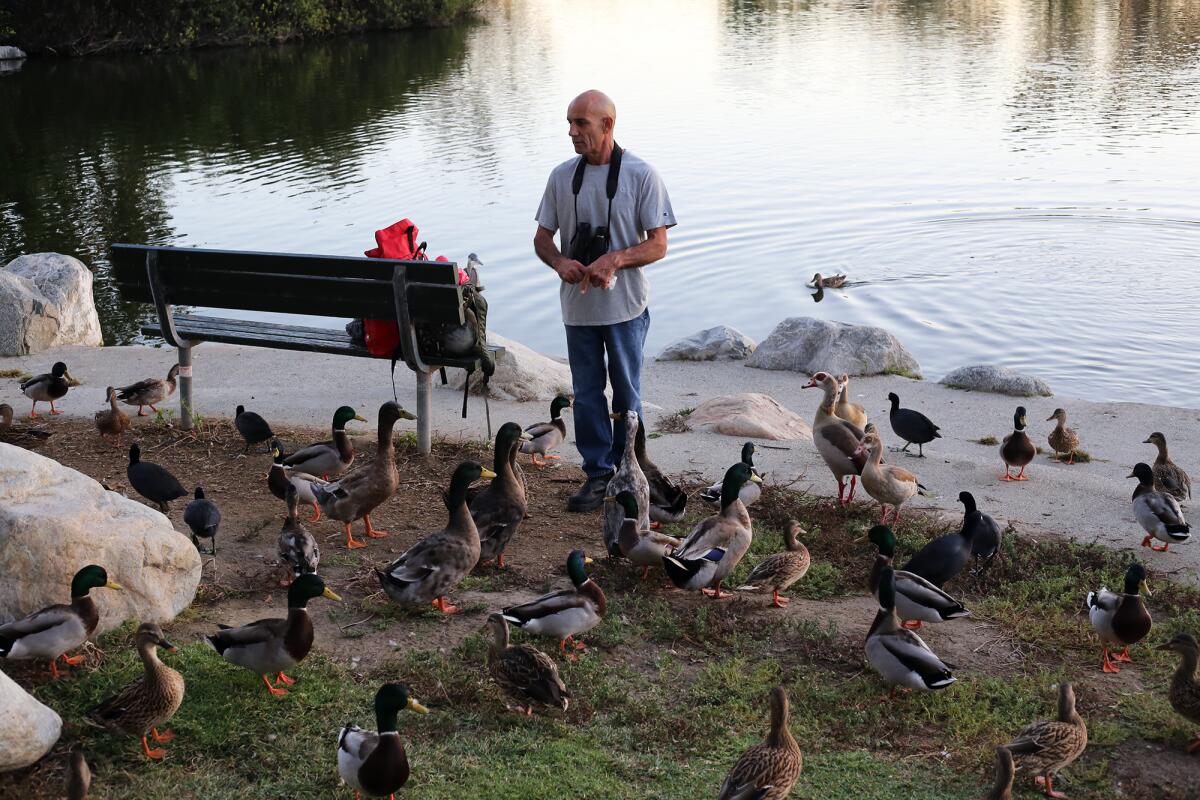 Robert Di Massa, a bird watcher and photographer visits “duck hill” at Mile Square Regional Park in Fountain Valley Oct. 20. 