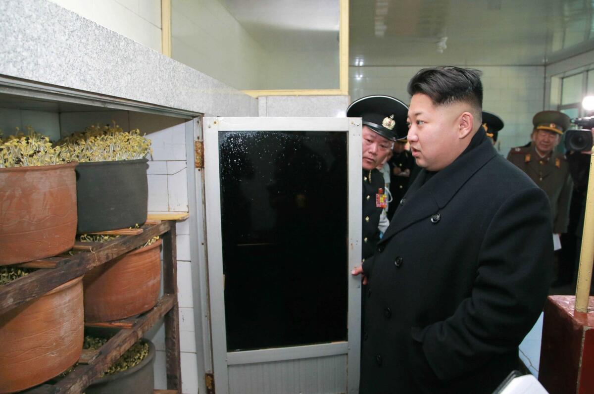 A photo from the official Korean Central News Agency shows North Korean leader Kim Jong Un visiting a naval unit.