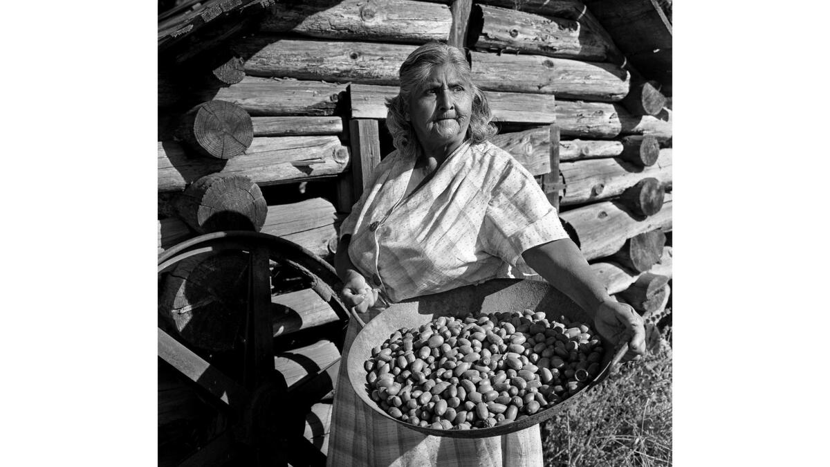 Eva Hendricks holds a tray of acorns. 
