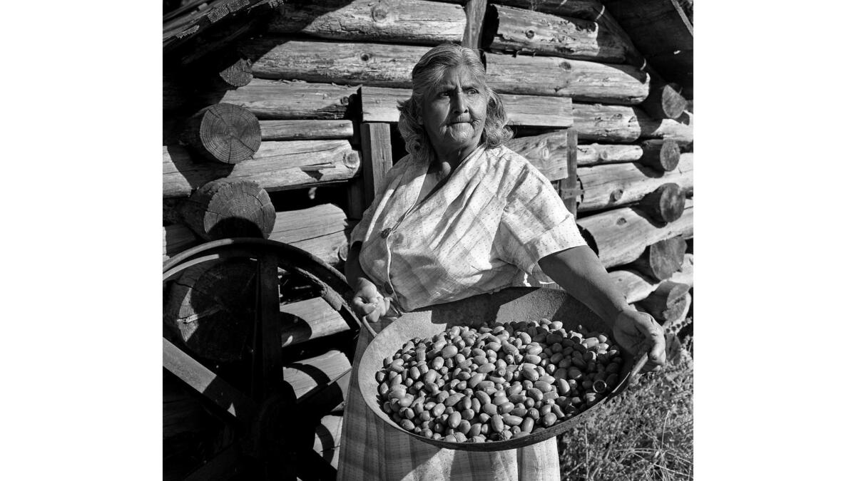 Eva Hendricks, a Mi-Wuk Indian, stands with a tray of acorns she had just gathered in Tuolumne, Calif. The log cabin in the background is used for storing acorns.