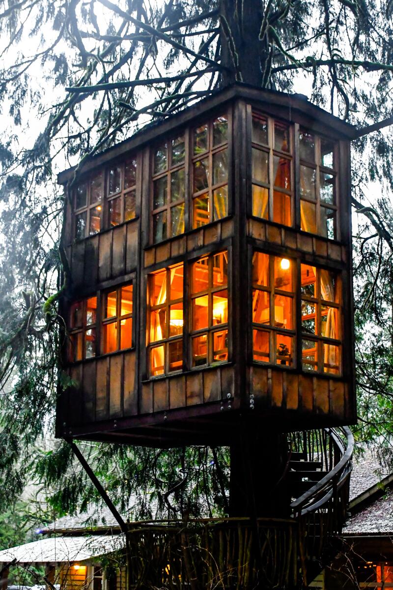 A two-story tree house is fully illuminated.