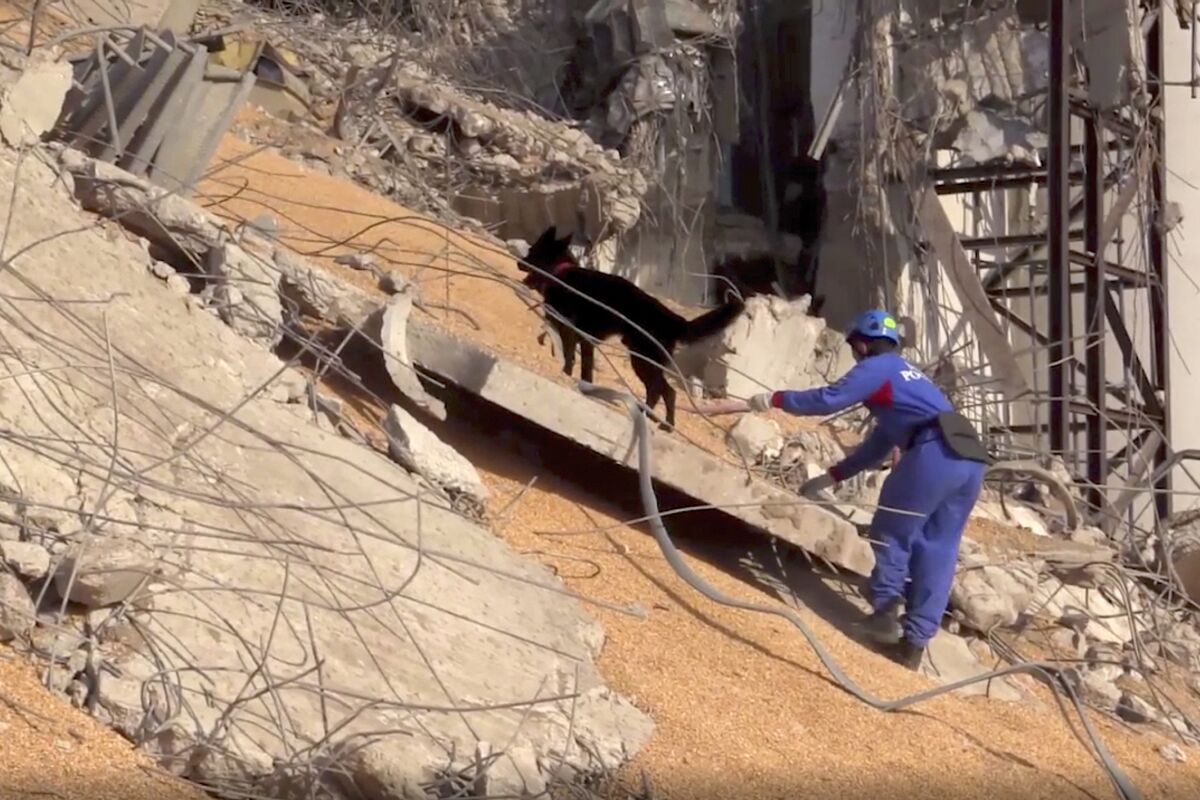 In this photo taken from footage provided by the Russian Emergency Situations Ministry press service, a Russian Emergency Situations employee works with his sniffer dog on the site of the explosion in the port of Beirut, Lebanon, on Thursday, Aug. 6, 2020. Russia's emergency officials say the country sent five planeloads of aid to Beirut after an explosion in the Lebanese capital's port killed at least 100 people and injured thousands on Tuesday. (AP Photo/Ministry of Emergency Situations press service via AP)