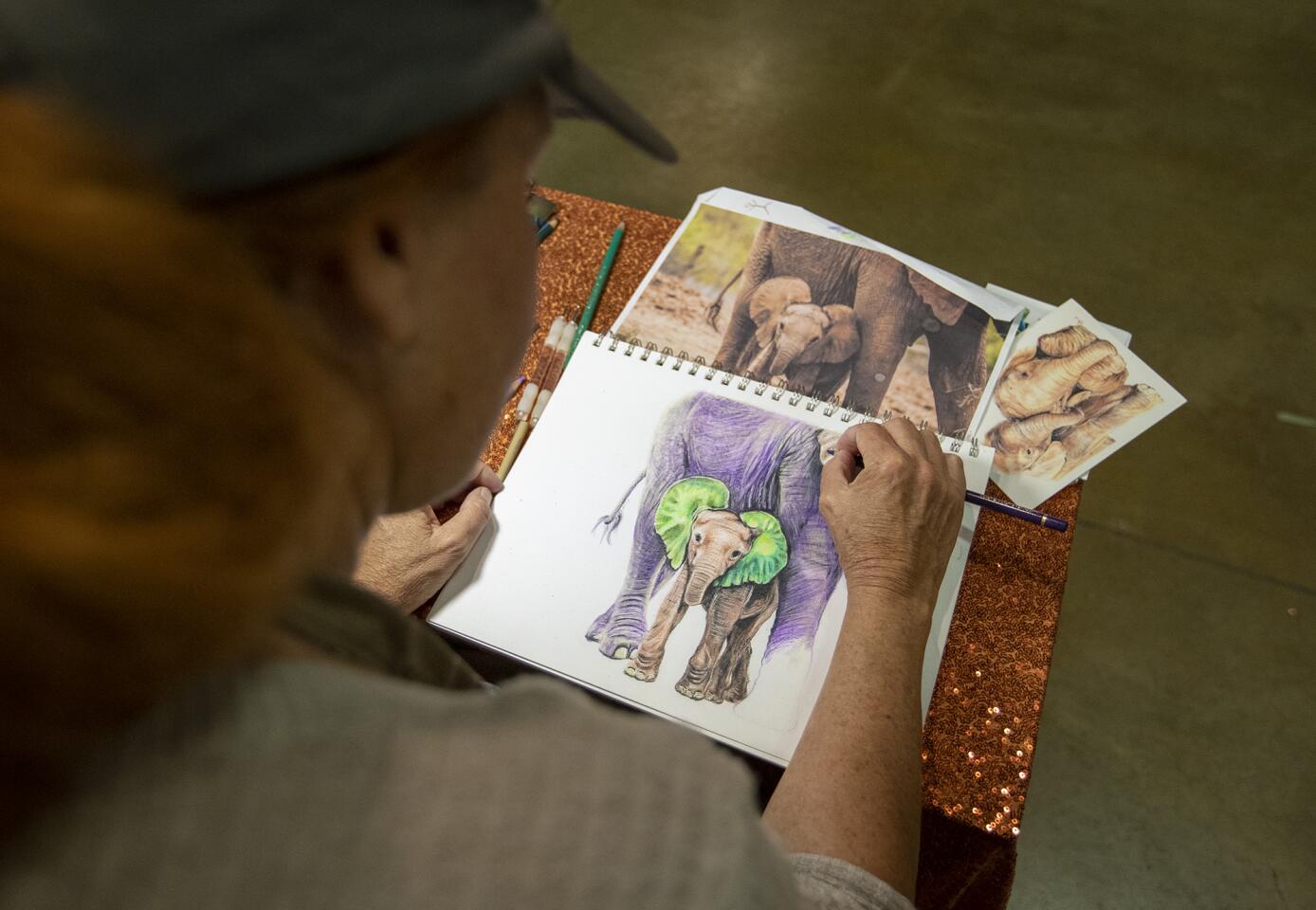 Thyra Rutter, with Arte for Elephants, draws in her booth at the Harvest Festival on Friday.