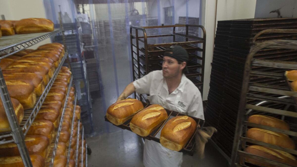 El empleado Edgar Alvarez descarga barras de pan recién horneadas de un horno y las parrillas de refrigeración. La familia Escobar, propietaria de la panadería Boulangerie O'Brien en Poway (San Diego), es la reciente ubicación para la empresa de rápido crecimiento.