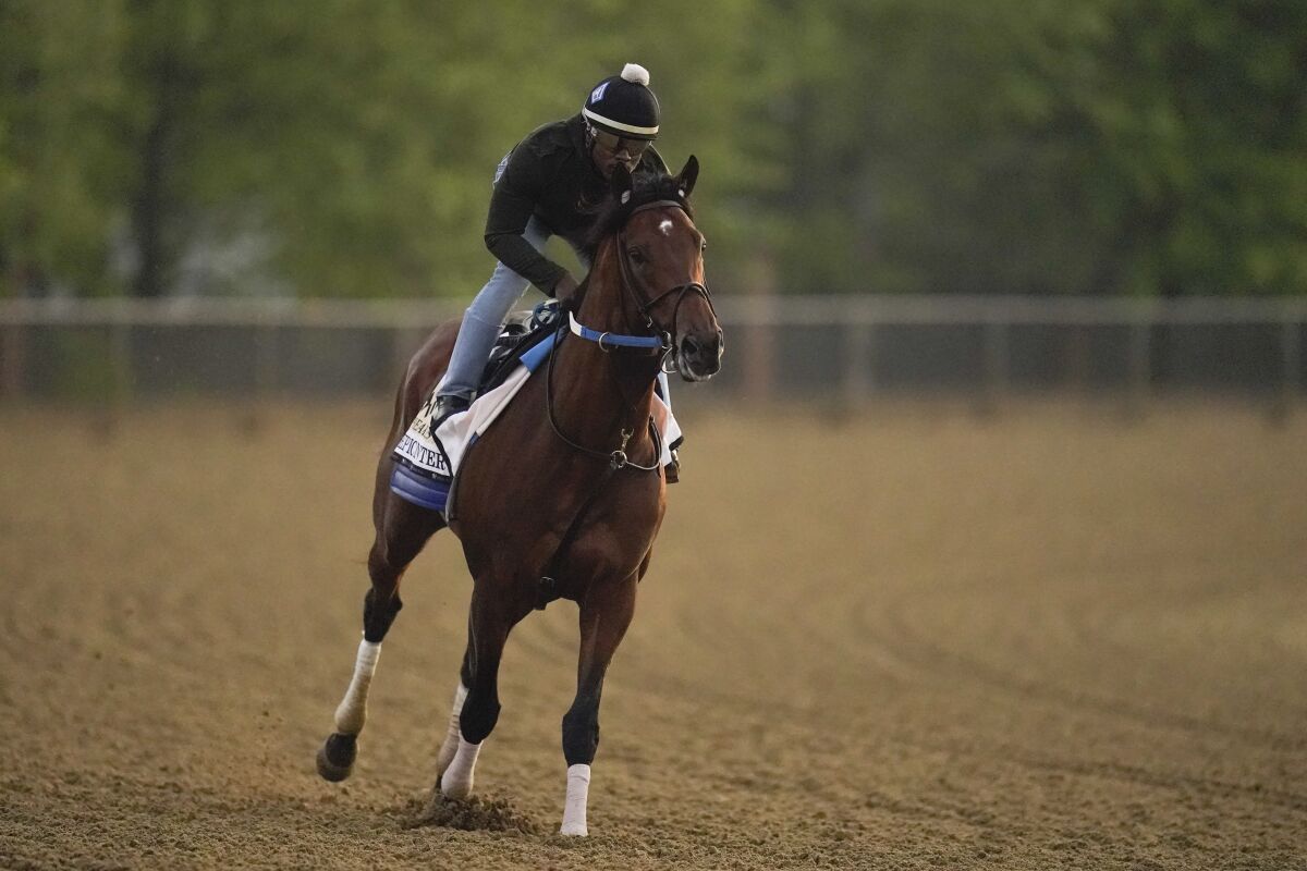 Preakness entrant Epicenter gallops during a workout.