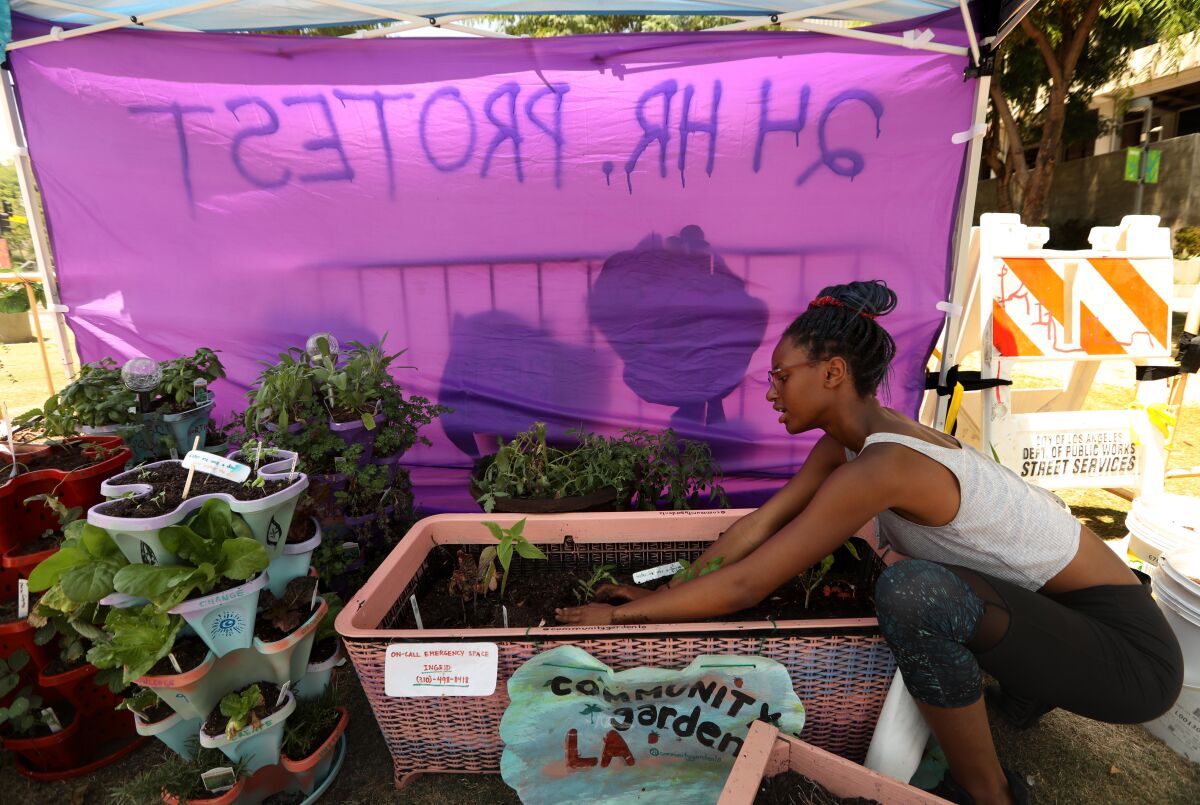 Syd plants tomatoes in the community garden at the Black Unity L.A. encampment.