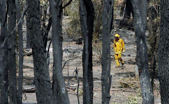 Deadly wildfires in Australia