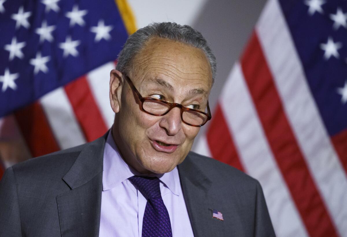 Senate Majority Leader Charles E. Schumer (D-N.Y.)