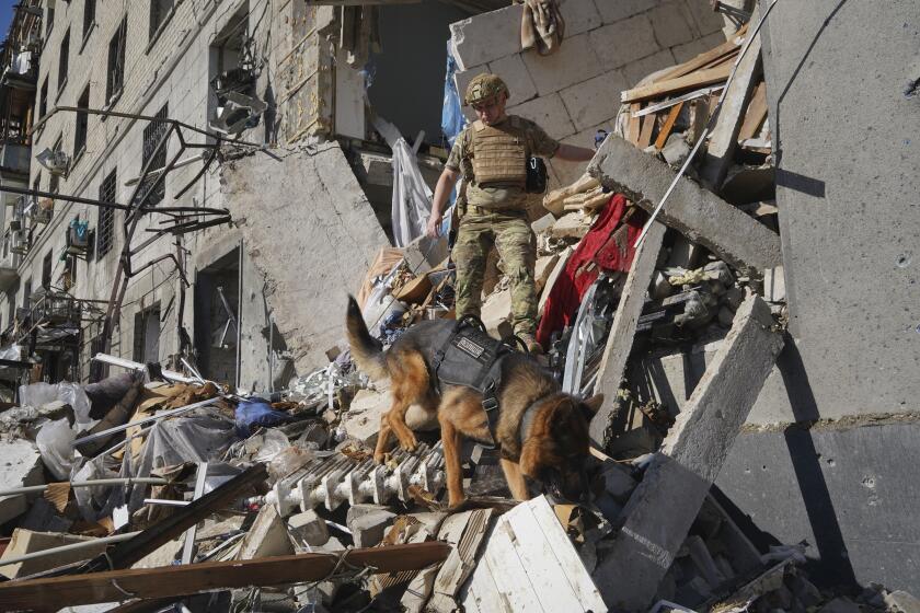 A rescue worker with a dog search for victims in a damaged apartment building after it was hit by Russian air bomb in Kharkiv, Ukraine, Saturday, June 22, 2024. At least three people were killed in a Russian bomb attack on Ukraine’s second city, Kharkiv, on Saturday afternoon, Ukrainian President Volodymyr Zelenskyy said. (AP Photo/Andrii Marienko)