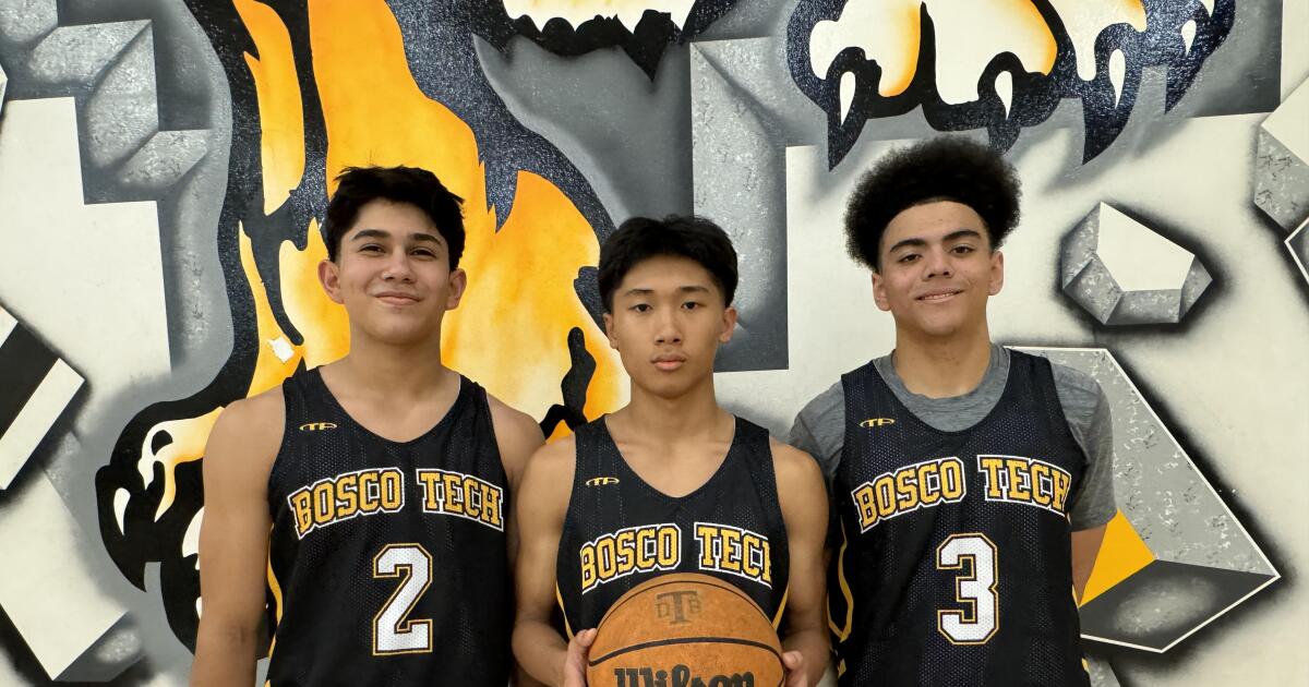 Column: Trio of basketball brothers delivers for Bosco Tech