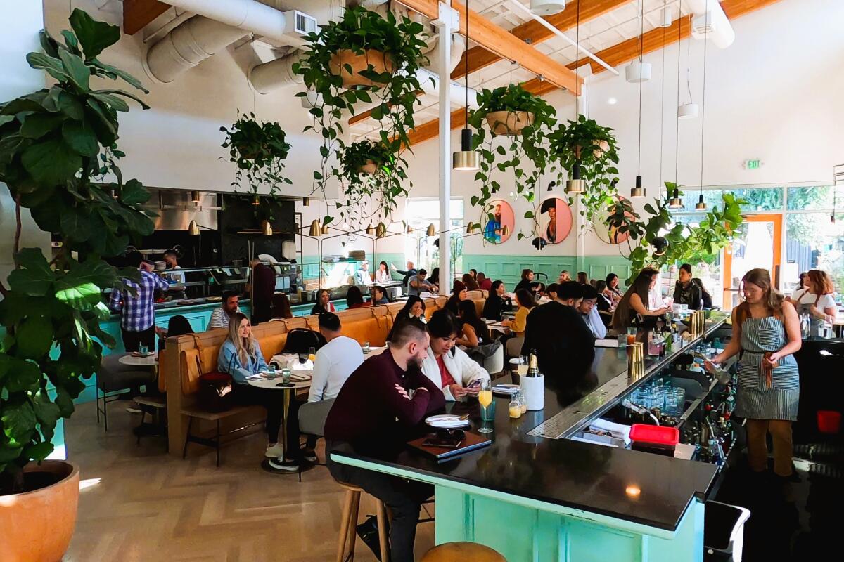 A crowded and colorful restaurant dining room with hanging plants.